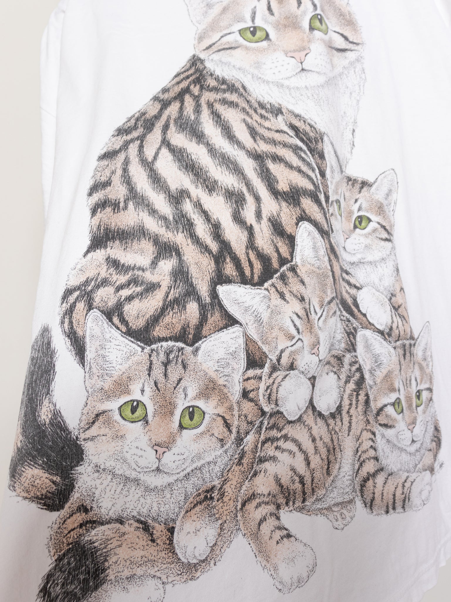 Kitty Katz