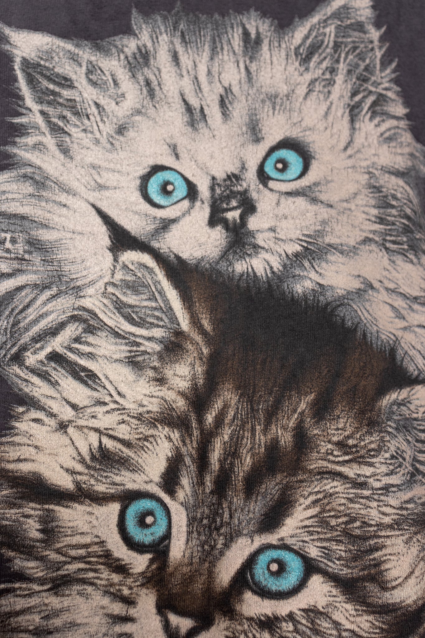 The Right Cattitude