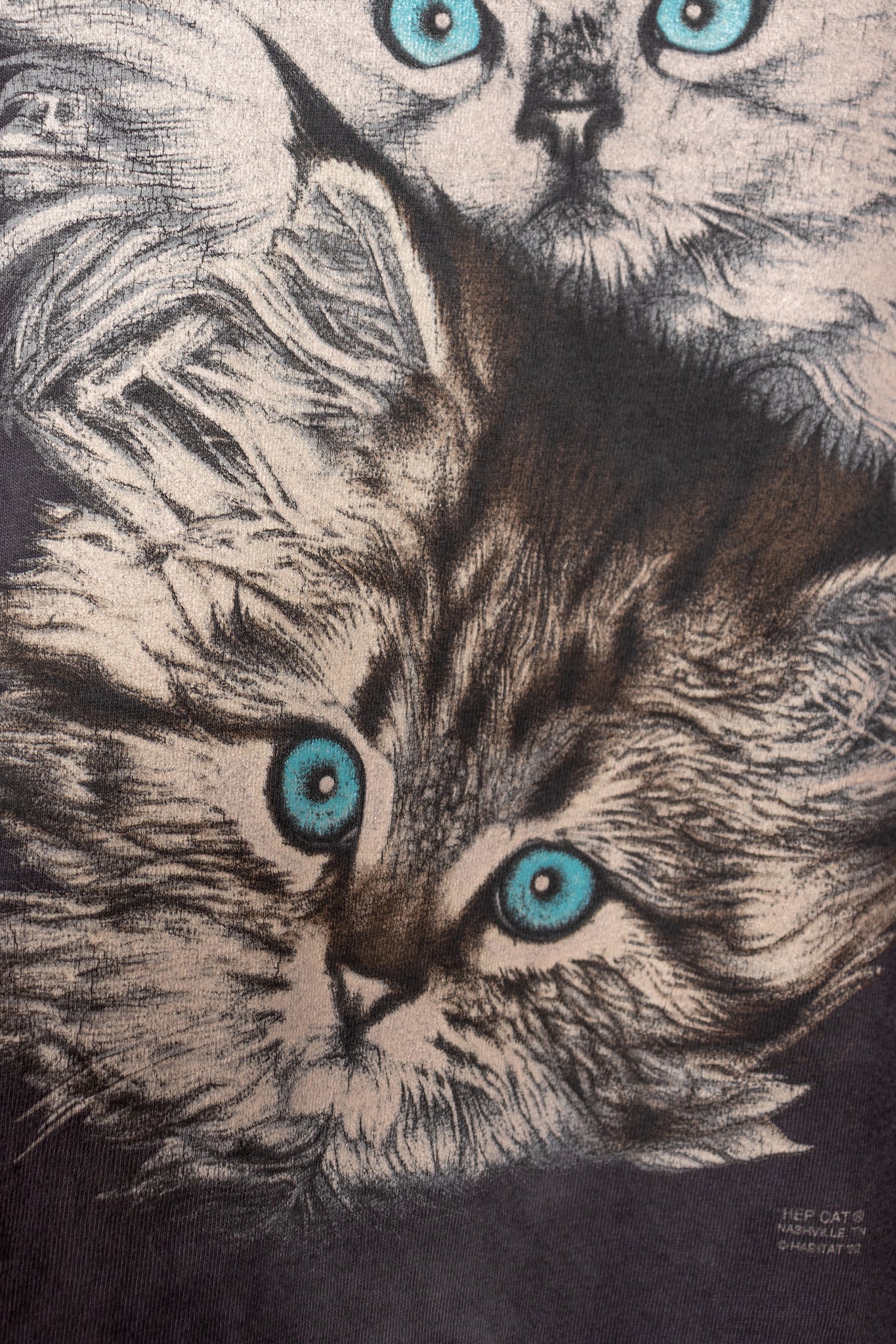 The Right Cattitude