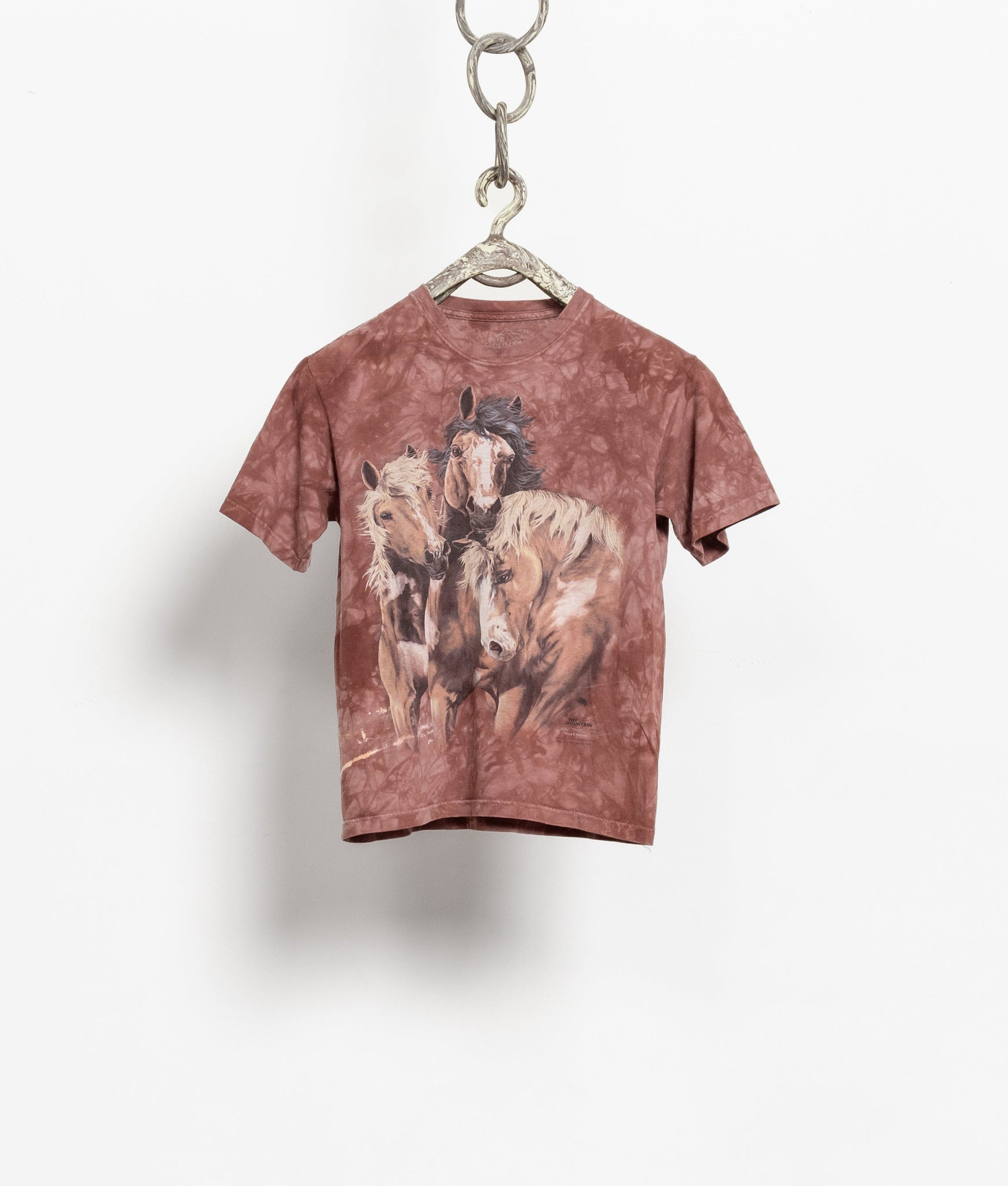Wild Horses