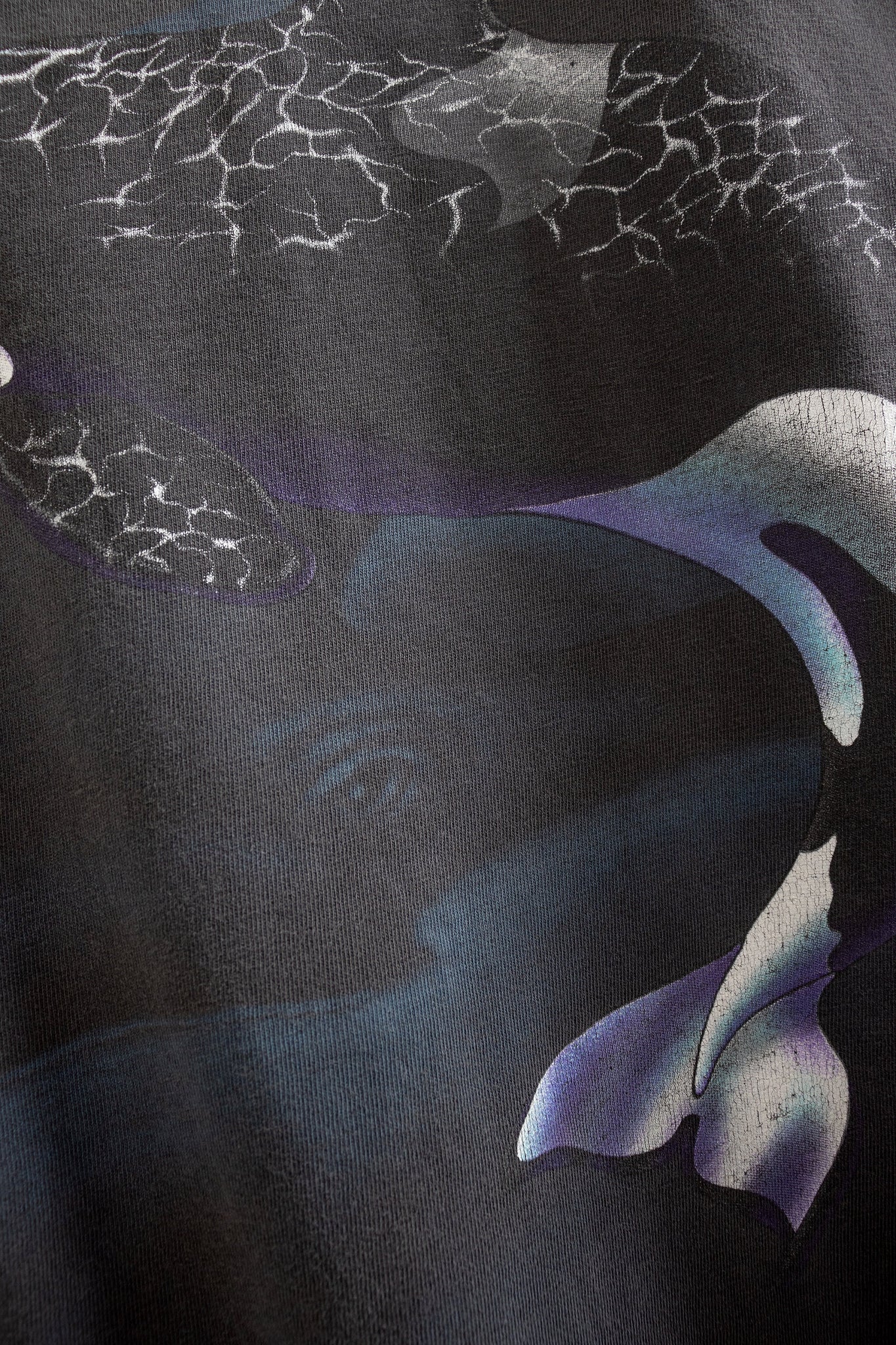 Killer Whales