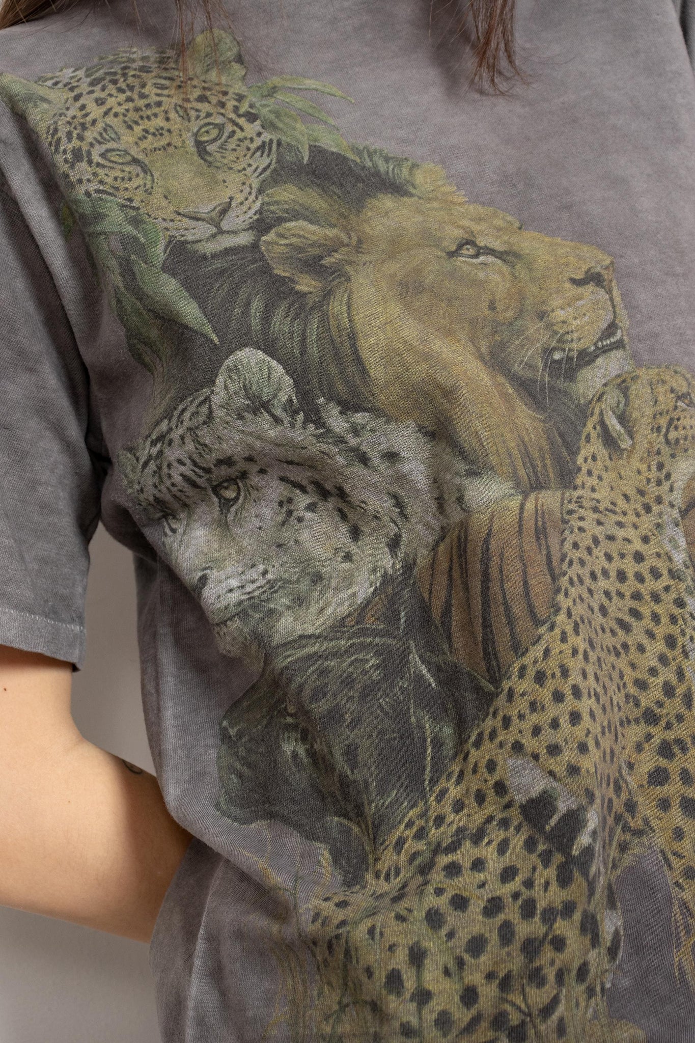 Jungle Cats