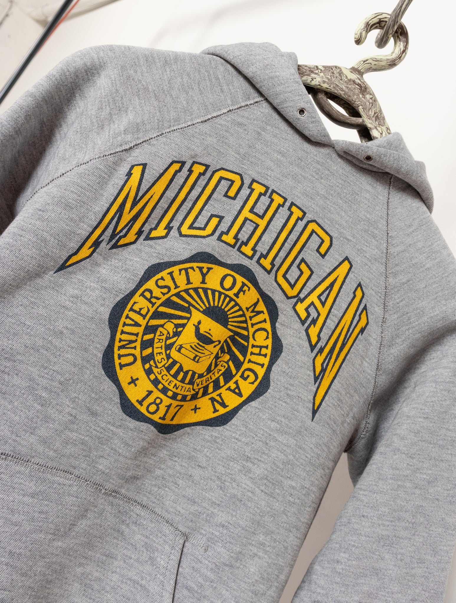 Michigan Bb