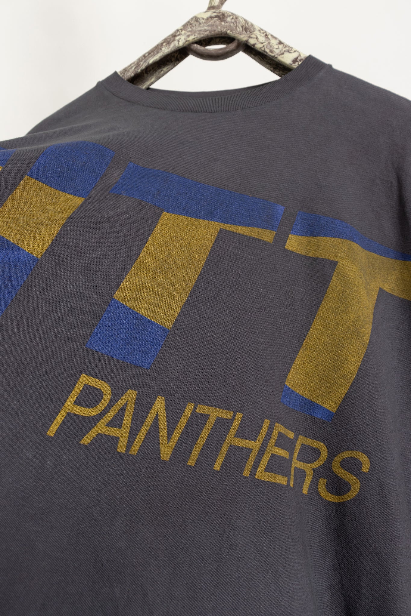 Pitt Panthers