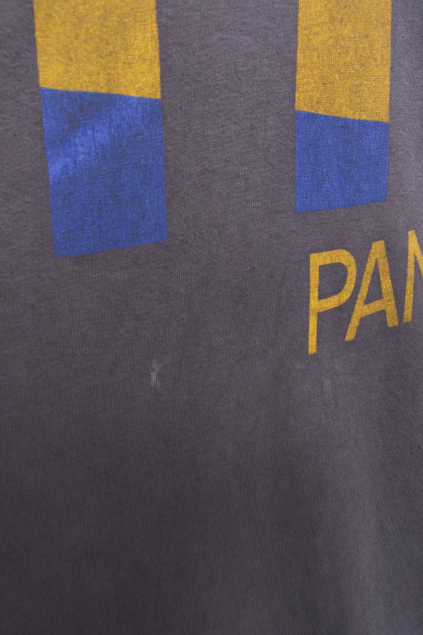 Pitt Panthers