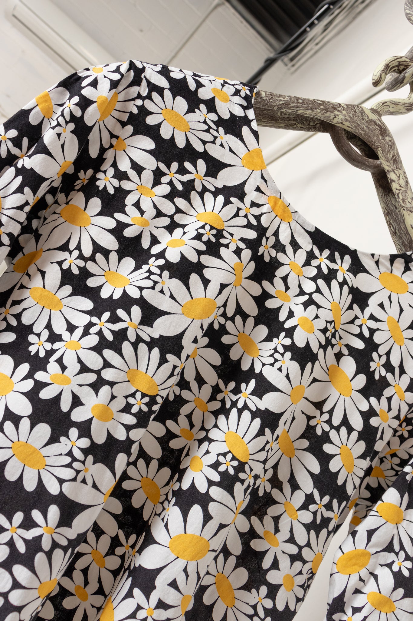 Daisies