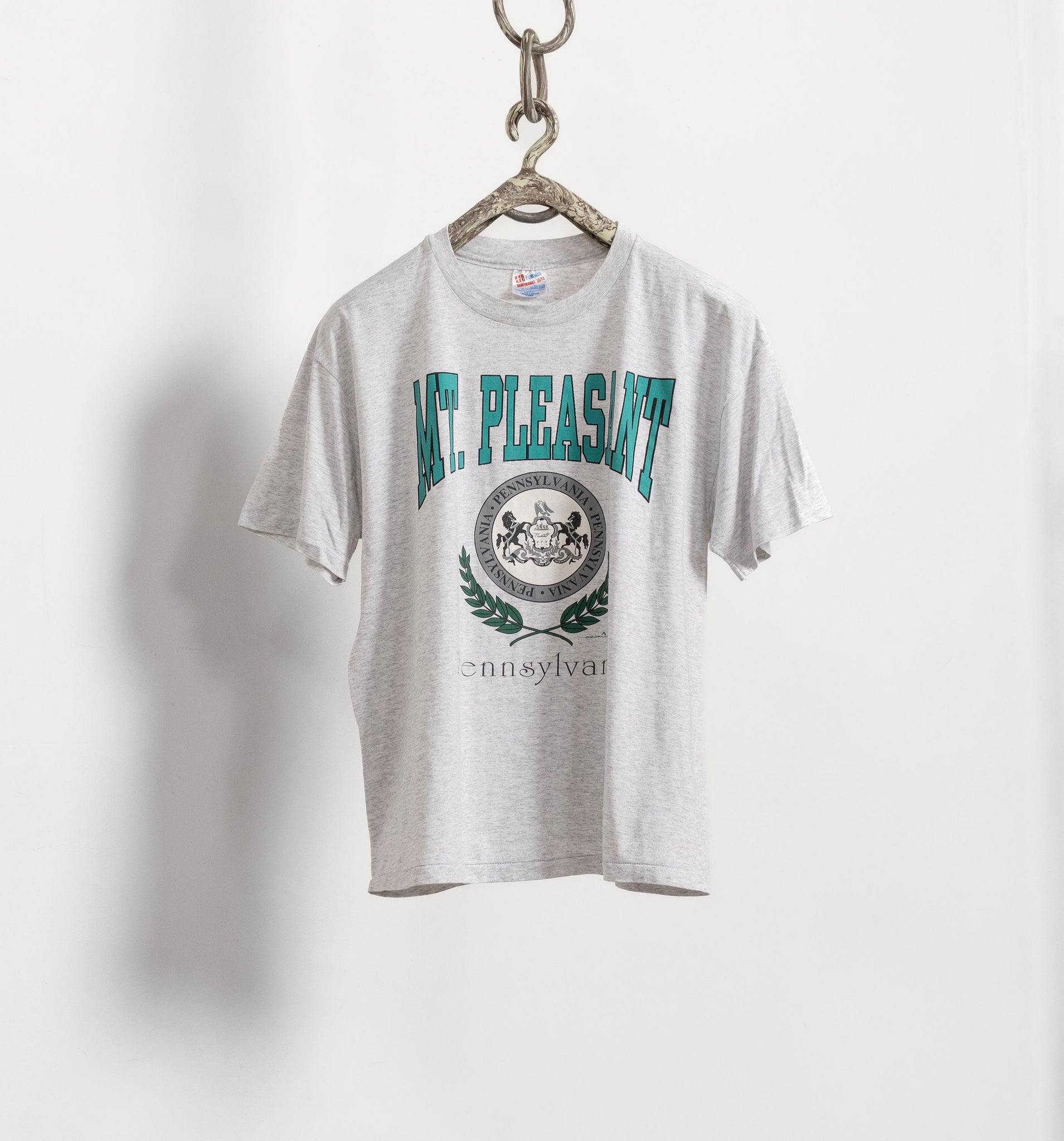 Gray t-shirt with 'Mt. Pleasant' print on a hanger against a white background