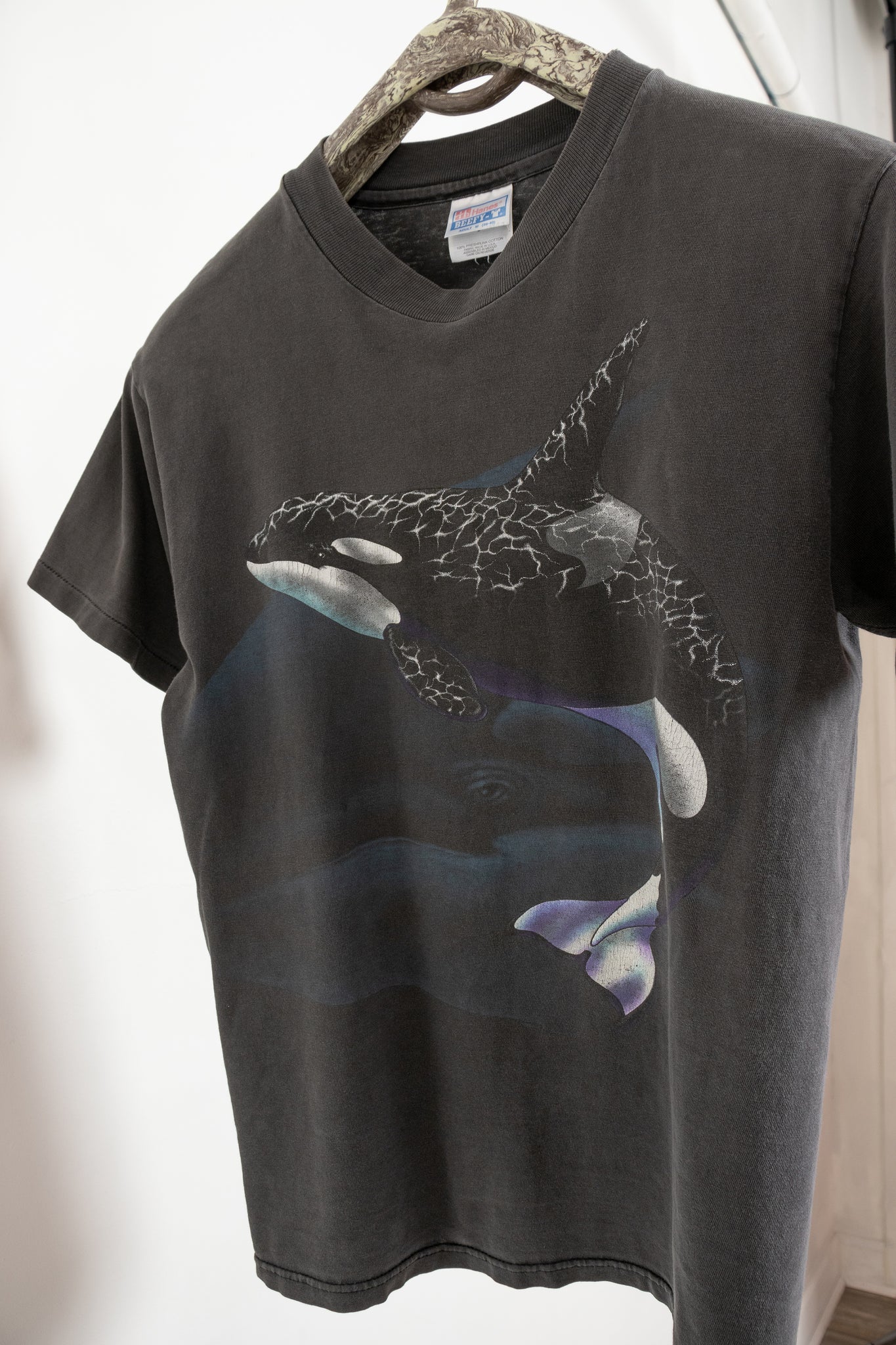 Killer Whales