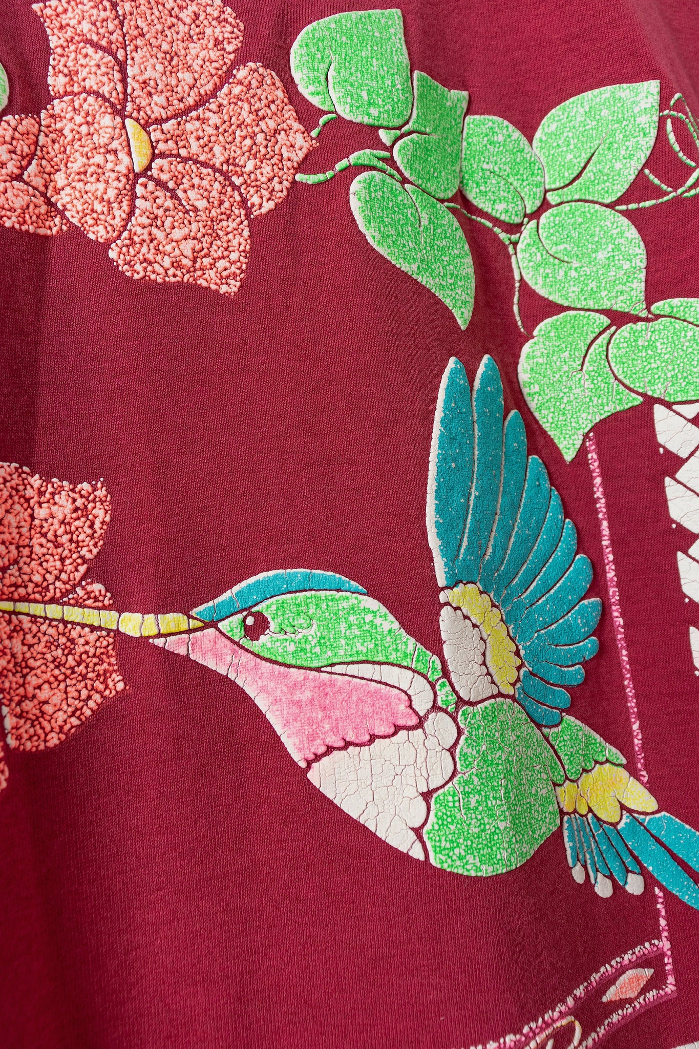 California Hummingbirds