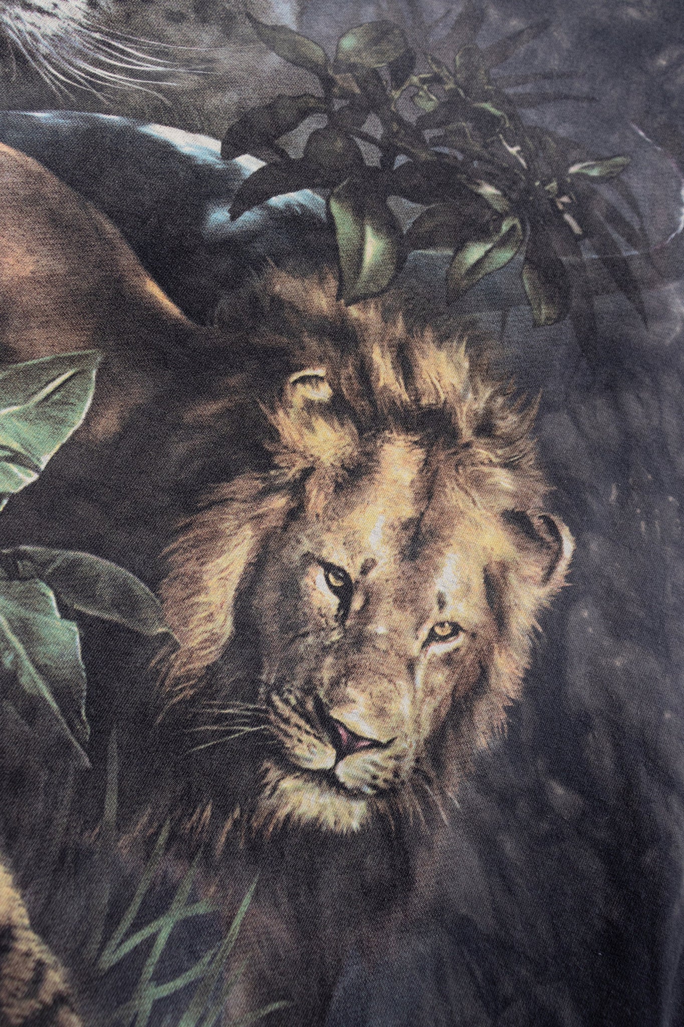 Jungle Cats