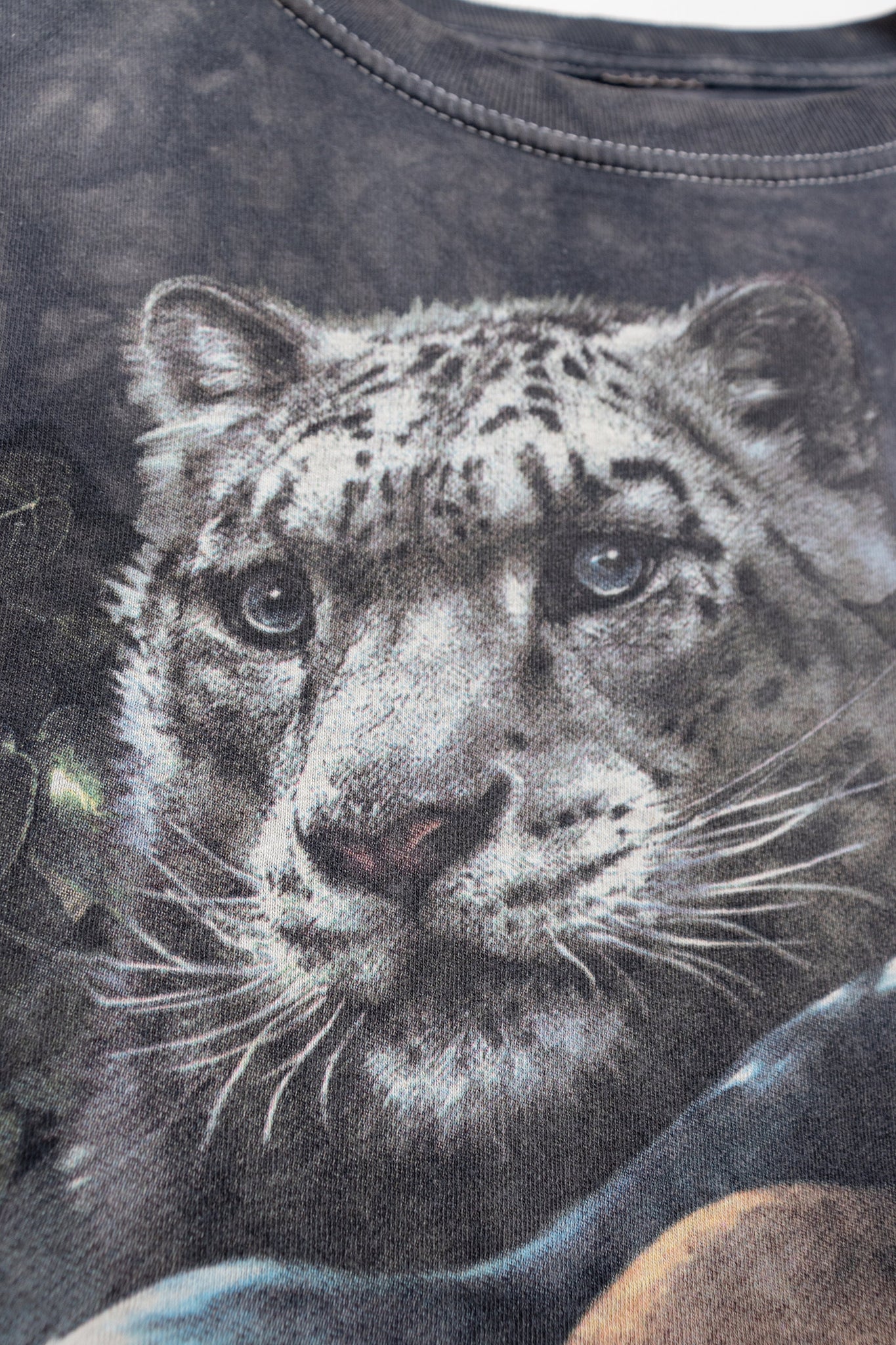 Jungle Cats